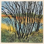 Autumn Sketch Lake Eraring