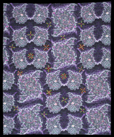 Biofluorescence: I'm Lichen It