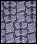 Biofluorescence: I'm Lichen It