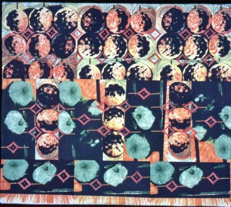 Cantaloupe Calliope